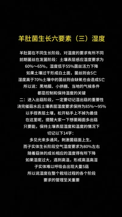 ֪ΪʲôͬݪֲǾе˲ߡе˲ҪǾҪ……# # #Ǿ #Ǿݪֲ #Ǿ