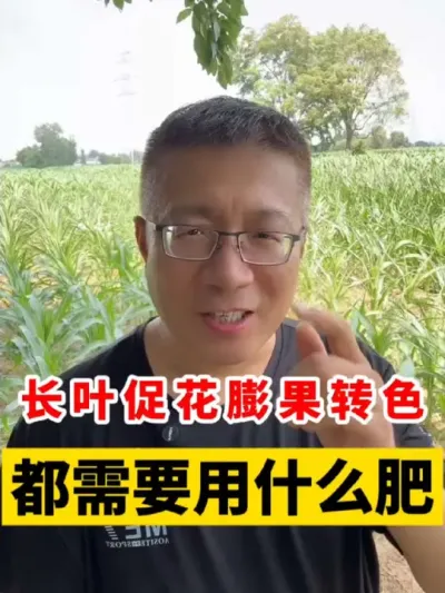 Ҷٻתɫ׶ξҪʲô #ũҵݪֲ #ũҵݪֲ #ݪֲС #ũҵƹ #ũũ