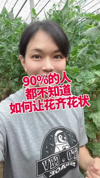 #ݪֲ#ѿֽ#׷#¤#ݪֲ  Ŷ @С