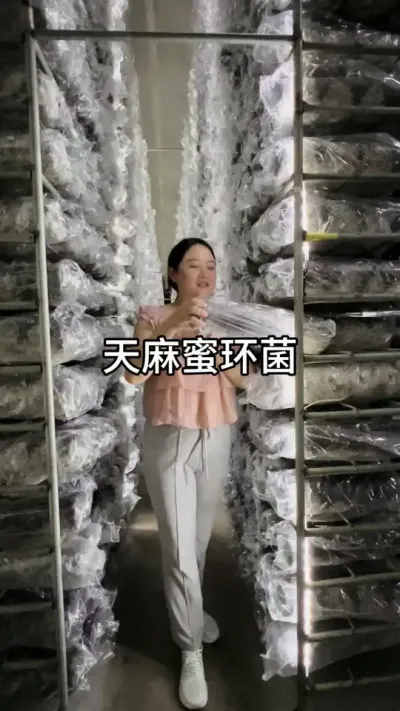 ۻ #ݪֲ #ʵƵ #һֻ @С