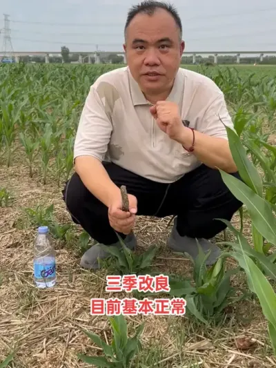 ׷Ԭϵл̬Ϸ𽥻ָ