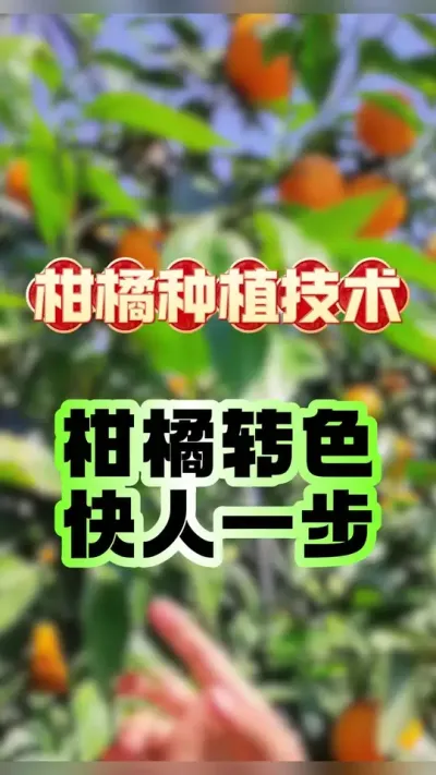 ٵתɫתɫһ#ݪֲ #ٹ #תɫ # #ũ