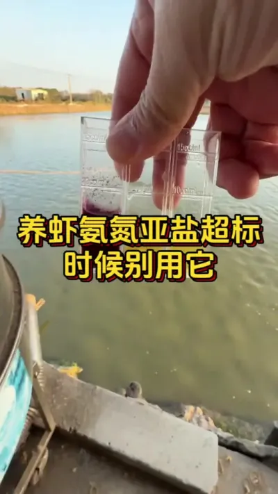 养虾氨氮亚盐超标的时候，别用它#养虾人 #对虾养殖 #南美白对虾 #嘉骏集团 #嘉骏新水产