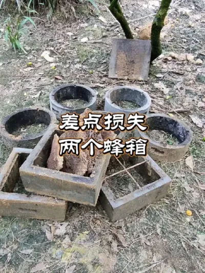 ˮӷ#ˮ #ҵvlog #ũ2025