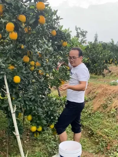 ժһͰ #ʲժ # #ժ԰ #