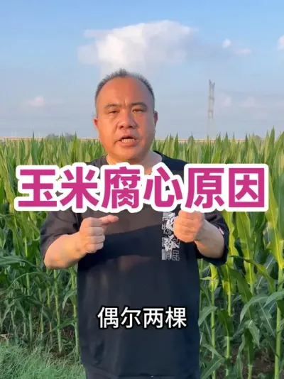 ׸Եԭ ¸ɺǱĲҶʲ벿ӱˮγɸġʡ붼пܣٵĲĿؿأ