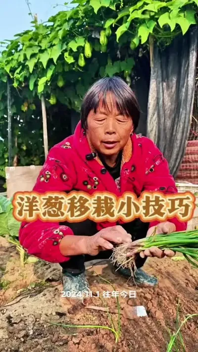 С# #ũ #߲ #ݪֲС @DOU+С @DOU+ @С