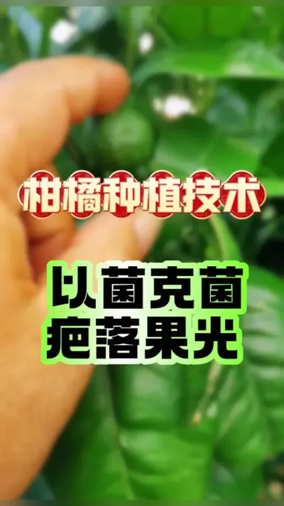 Ծξ——#ݪֲ #ٹ # # #Ҷ