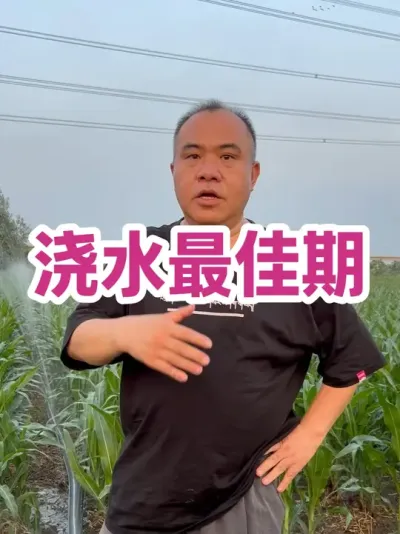 ˮ 硢ڽˮڲȱ¸ˮȫˮˮҲ#ũҵݪֲ