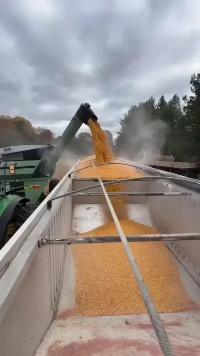 1979աжתתˡɡִ… #ִũҵ #Լ϶