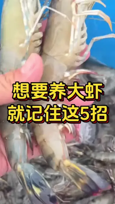 #ĶϺ#οˮ#׶Ϻֳ #θ#׳