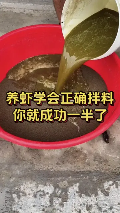 养虾学会正确拌料，你就成功一半了#对虾养殖 #养虾人 #南美白对虾 #嘉骏新水产 #嘉骏集团