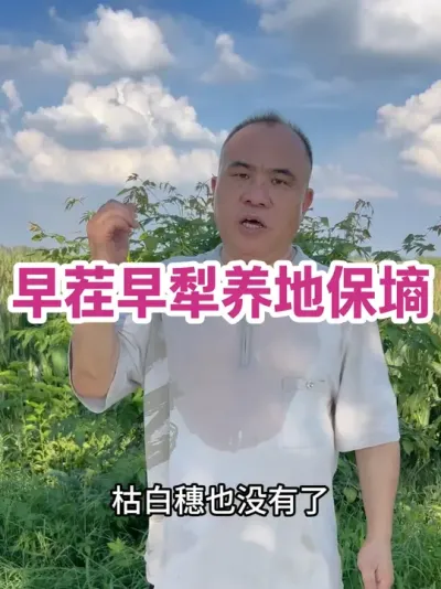 ر رʡлϷ׷ʡʵ#ũҵݪֲ