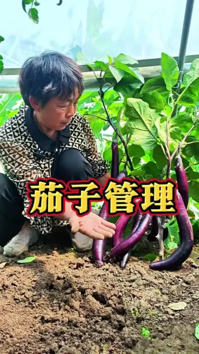 ������ӽ�Ķ�δ��#���� #����ݪֲ #��ũ #�߲����� #ݪֲС���� @DOU+������ @��������С���� @DOU+С����