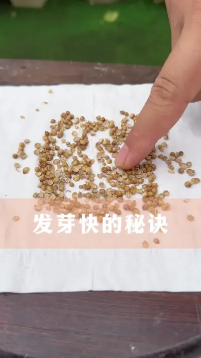 ˡֽ#ֲ #С֪ʶ # #İ