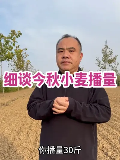 ϸ̸С ǰܲҲҪĺ11³ÿĶ30βԼӵ45ÿĶ#ũҵݪֲ