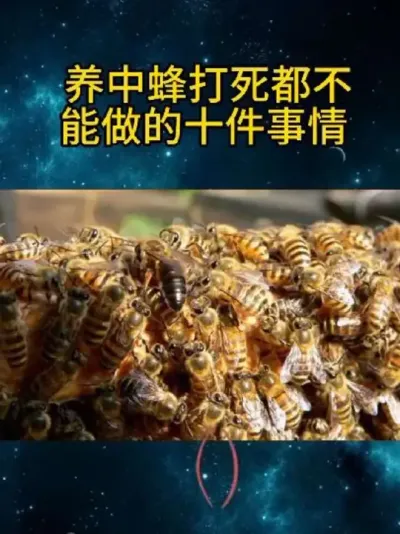 зʮ #շ # # #ũ#зֳ