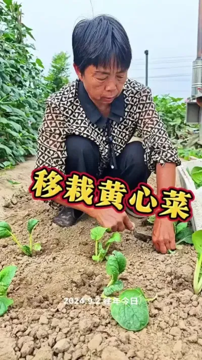 ĲС#ũ #߲ #Ĳ #ݪֲС #߲ݪֲ @DOU+С @DOU+ @С