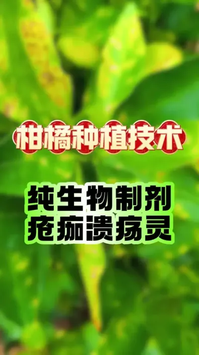 ٷ徲˹޲#ݪֲ #ٹ # #ũҵݪֲ #԰