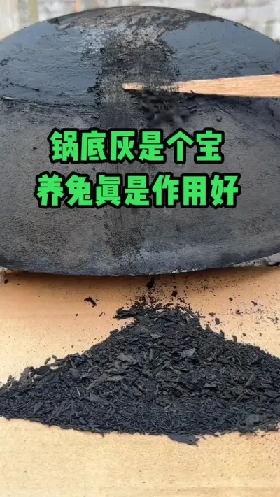 锅底灰是个宝，养兔真是作用好#抖音三农#养兔#养殖
