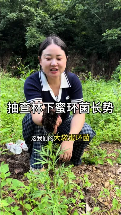 ۻ #ũݪֲ #ҩݪֲ #ũ #ݪֲ@С