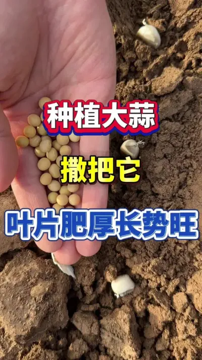 ߲ݪֲ#ݪֲ #߲ #ⲡ