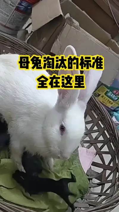 ĸ����̭�ı�׼��ȫ������#������ũ#��ֳ#����