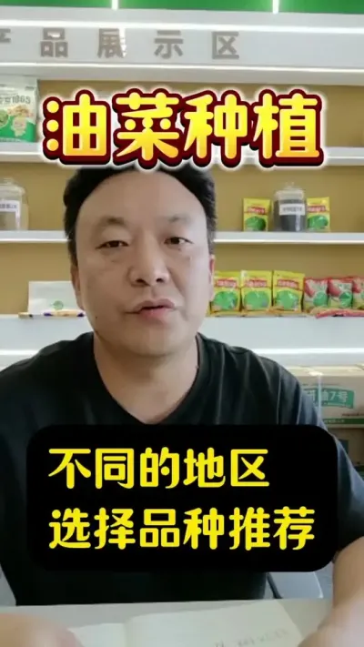 ѡʲôͲƷ#Ͳݪֲ #ͲƷ