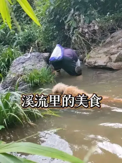 Ϫʳ ũϪʳ#ʳ #ҵ #ũ2025