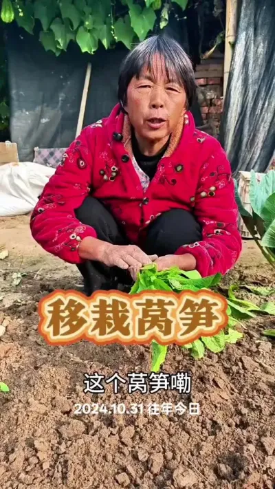 ݫС#ũ #ݫ #߲ #ݪֲС @DOU+С @DOU+ @С