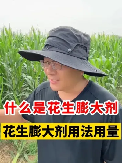 ʲôǻ׼ȷ÷ #ݪֲ #ݪֲ # #߲ #