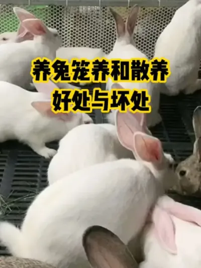 ����������ɢ���������뻵��#������ũ#��ֳ#����