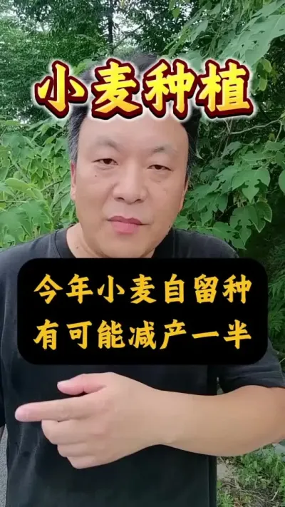 Спܼһ룡#Сݪֲ #С