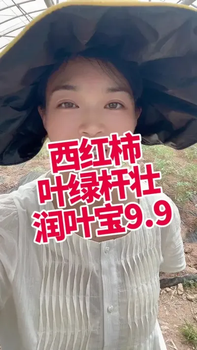 #Ҷ#Ҷ#Ҷ#ݪֲ #ɼҶ СƳµ  ſһƿ@С