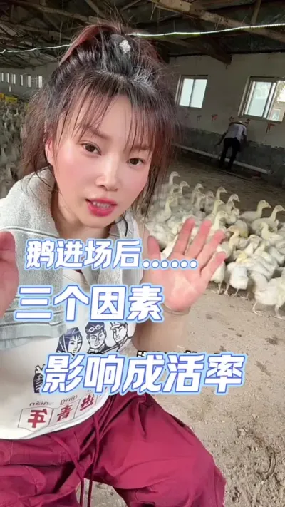 ……##շ #ũ崴ҵֳ