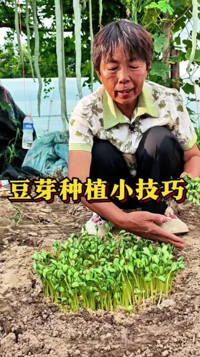 һضݪֲһѿ˳ҲŶϲѿ˵ǿŶ#ũ #ѿ #߲ #߲ݪֲ #ݪֲС @DOU+С @С @DOU+