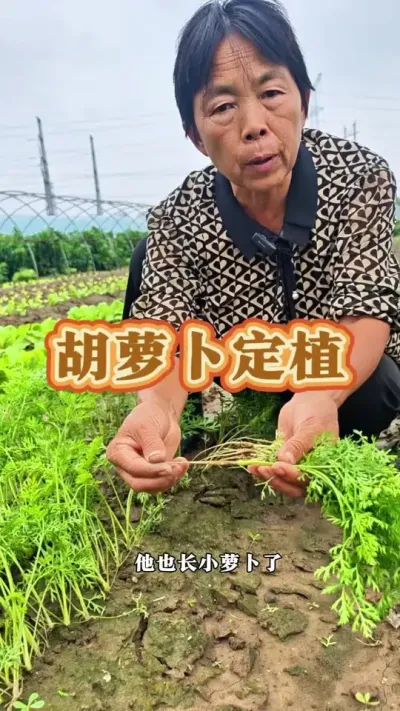 ܲͶֲ#ũ #ܲ #߲ #ݪֲС #߲ݪֲ @DOU+С @DOU+ @С