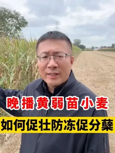 С׳ٷ #Сݪֲ #Сݪֲ #С #С߲ #Сݪֲ