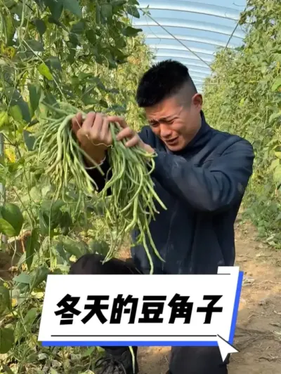 Ķ #ҵ #ũ #ũ2025 #ػ #ÿɽƷɽ