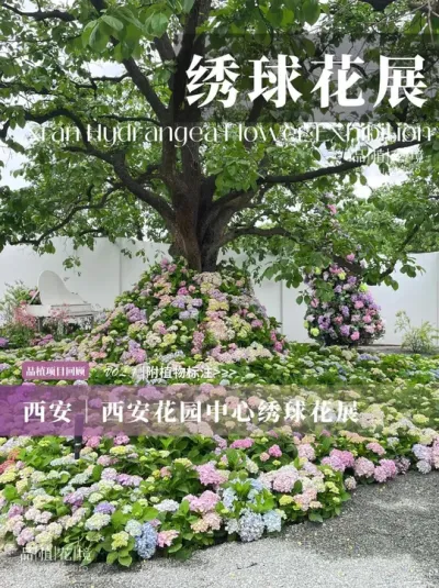 ?԰ | µȹ? ? ʹ԰ԭее֦´˻ȹӡƷֵȫѡĲڷų鶯ȹ主