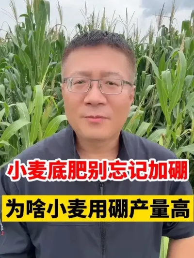 С׷ʱӵΪɶС # #Сݪֲ #С߲ #С #Сݪֲ