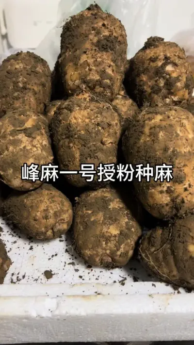 һ һڷƷӽױƷ#ũ #ũ崴ҵ # @DOU+С