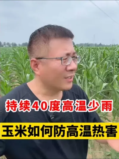 һ40ȸȺ #ݪֲ #ݪֲ #ƽmy73 #׸߲ݪֲ #ݪֲ