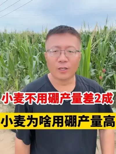 С󲻱2СΪɶ #Сݪֲ # #С߲ #Сݪֲ #С׷ @̷ũʣ