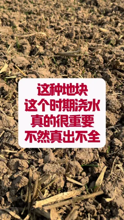 ֵһˮĺҪ #ũҵֲ֪ʶ #ũҵֲ֪ʶ #ݪֲС #ũҵݪֲ #ũũ