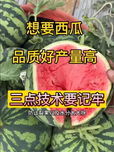 #抖音助农 #抖音三农热点 ##三农种植