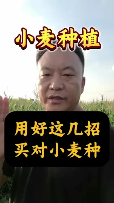 ú⼸򵽺֣#Сݪֲ #С