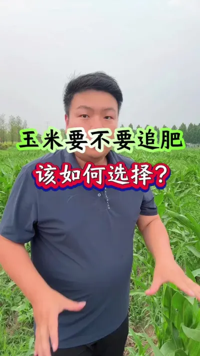 ׾ҪҪ׷ʣ #ݪֲ #׷ #ݪֲС