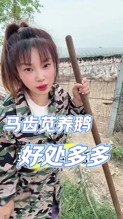 Ҳܾȶ##շ #ũ崴ҵֳ