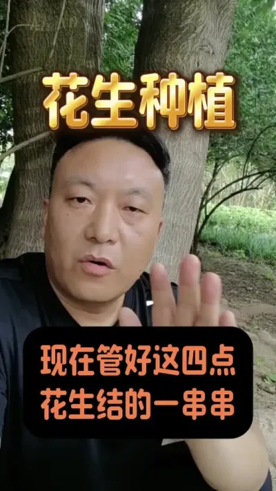 ���ڹܺ����ĵ����������һ������#����ݪֲ�������� #������ˮ #��������